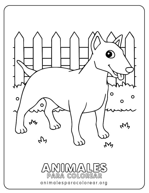 dog coloring page  Como dibujar un perro, Dibujos de animales, Dibujos de  animales tiernos