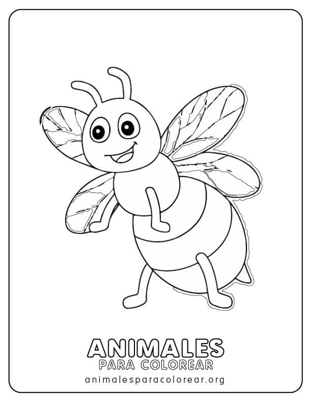 Dibujos de cámara de fotos para imprimir y colorear con los niños