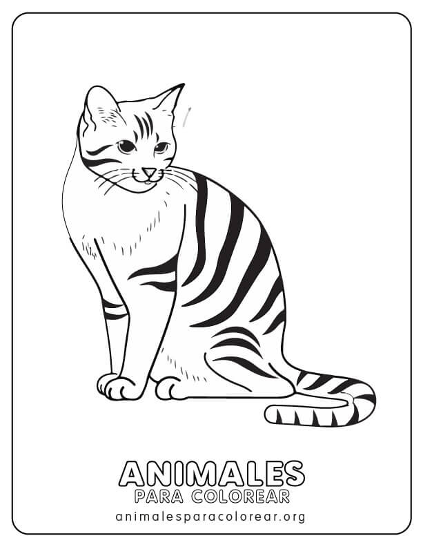 Gatos para Colorear , descargar e imprimir GRATIS