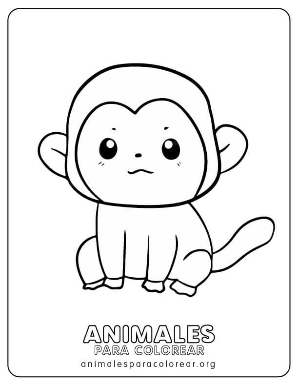  Monos para colorear , descargar e imprimir GRATIS