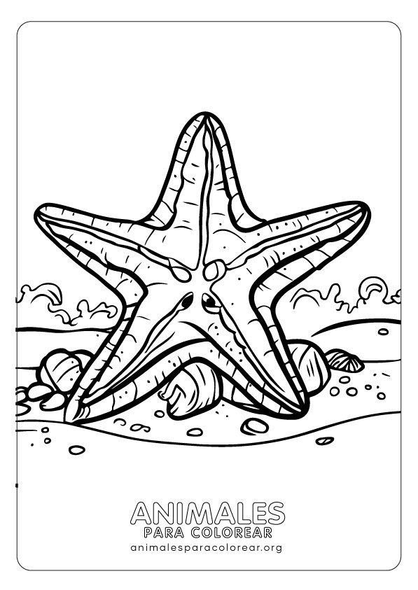 Estrellas de mar para colorear , descarga e imprime GRATIS!